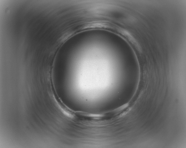 X0000069831233200605191131