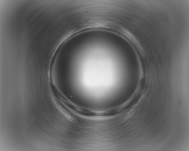 X0000069831234200605191131