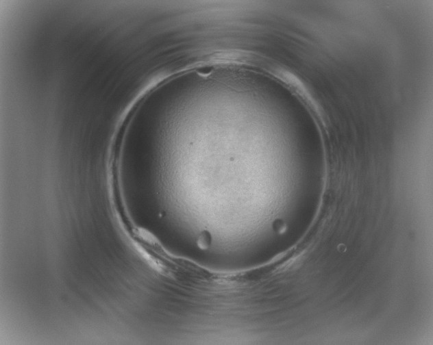 X0000069831235200605191131