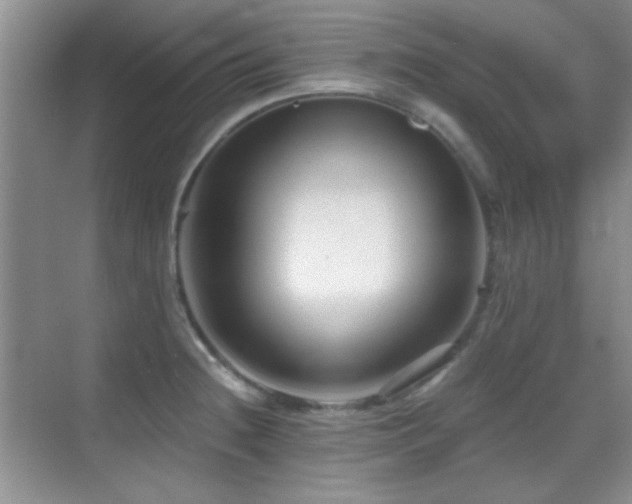 X0000069831236200605191131