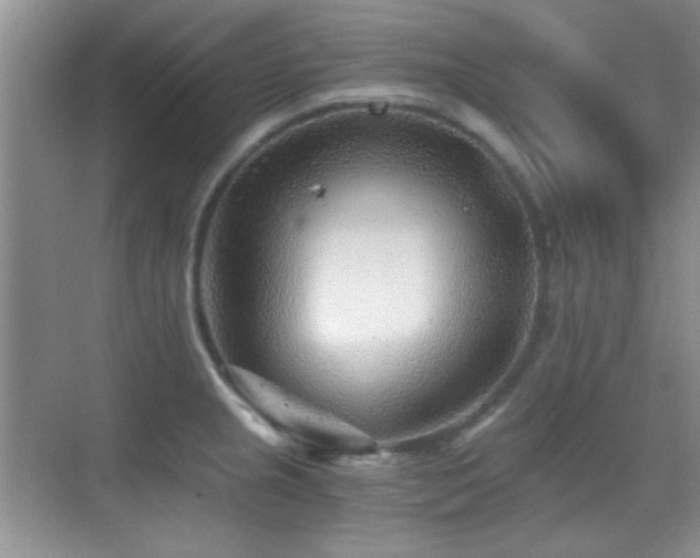 X0000069831237200605191131