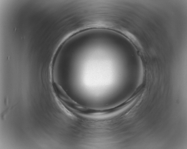 X0000069831238200605191131