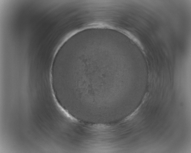 X0000069831239200605191131