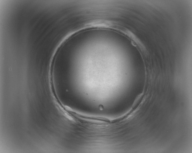 X0000069831240200605191131