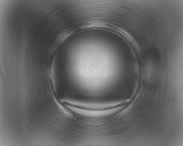 X0000069831241200605191131