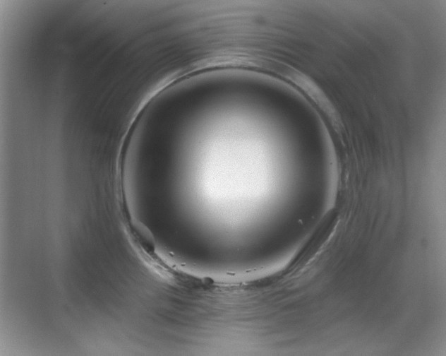 X0000069831242200605191131