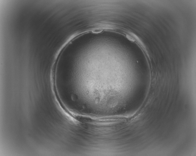 X0000069831243200605191131