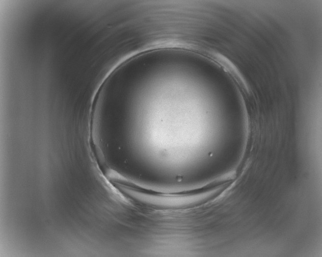 X0000069831244200605191131