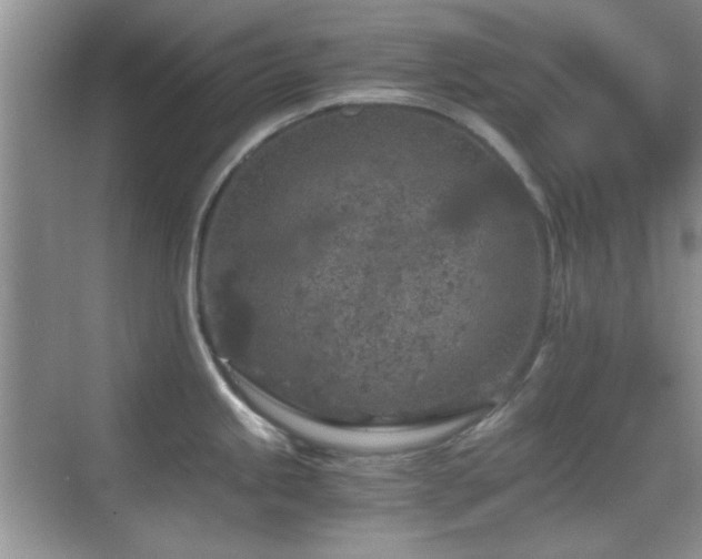 X0000069831245200605191131