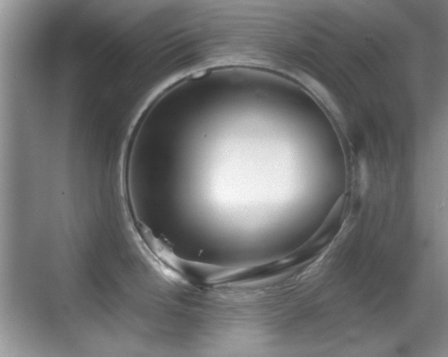 X0000069831246200605191131