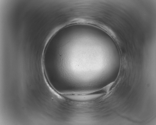 X0000069831247200605191131