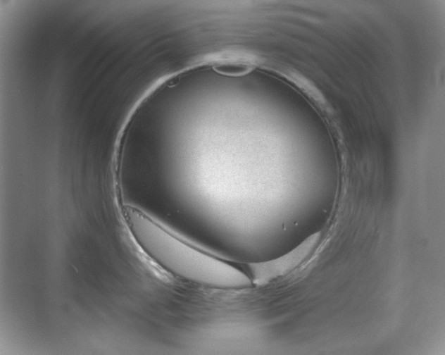 X0000069831248200605191131