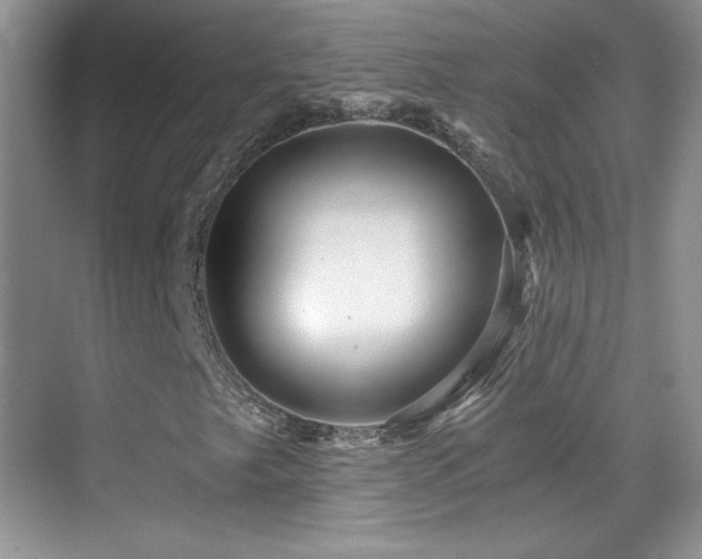 X0000069831249200605191131