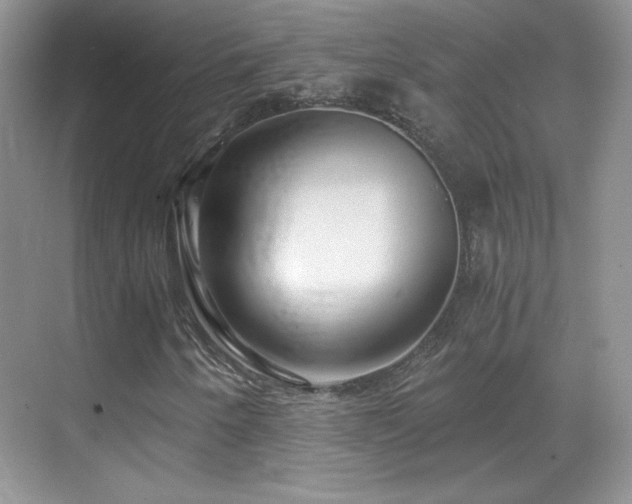 X0000069831250200605191131