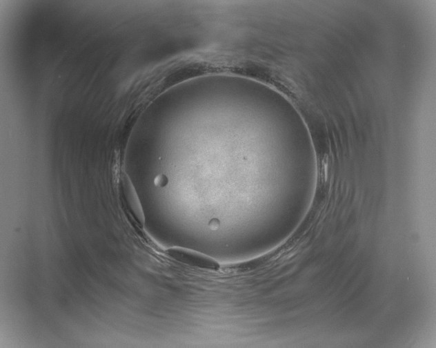 X0000069831251200605191131