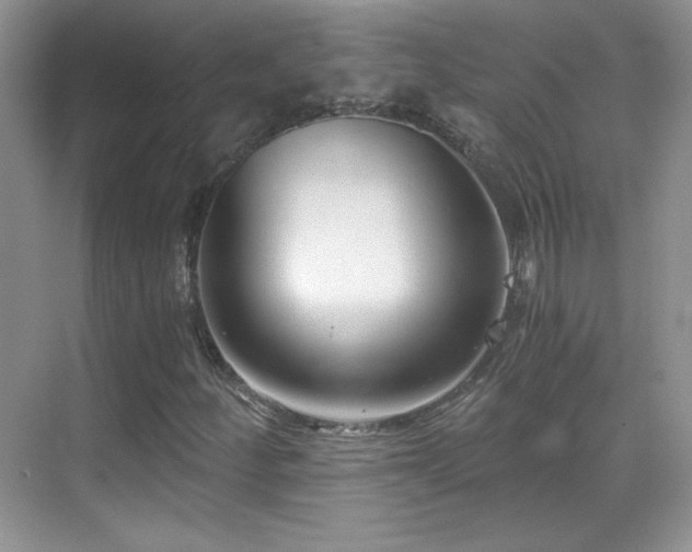 X0000069831252200605191131