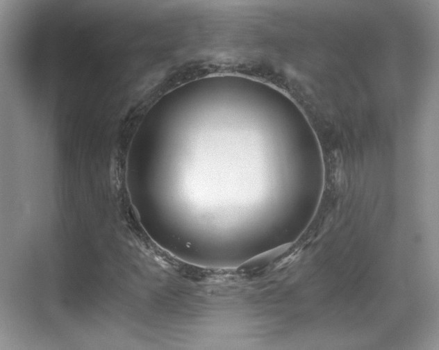 X0000069831253200605191131