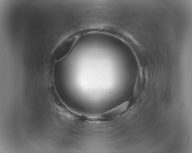 X0000069831256200605191131