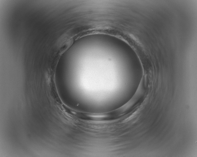 X0000069831257200605191130