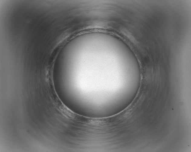 X0000069831258200605191130