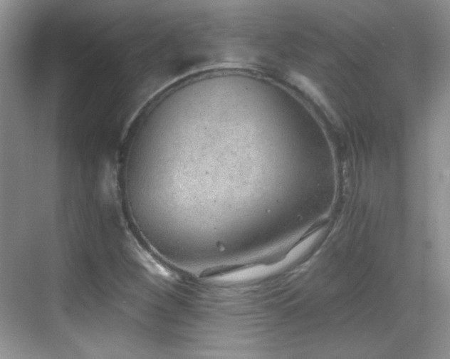 X0000069831260200605191130