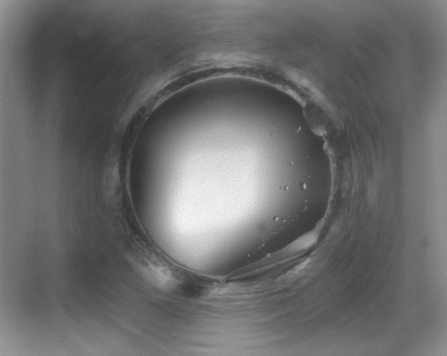 X0000069831261200605191130