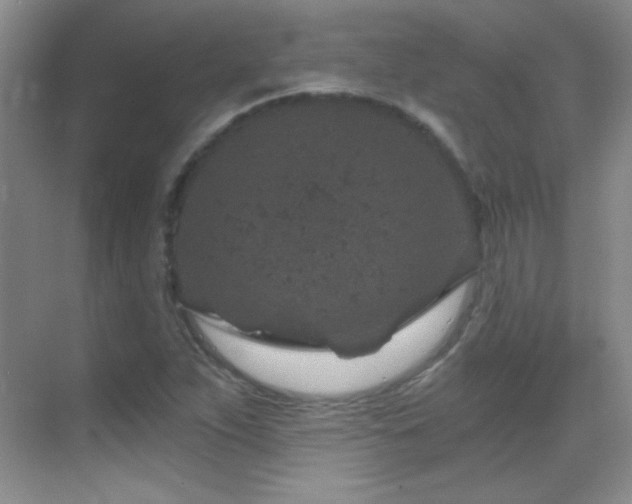 X0000069831263200605191130