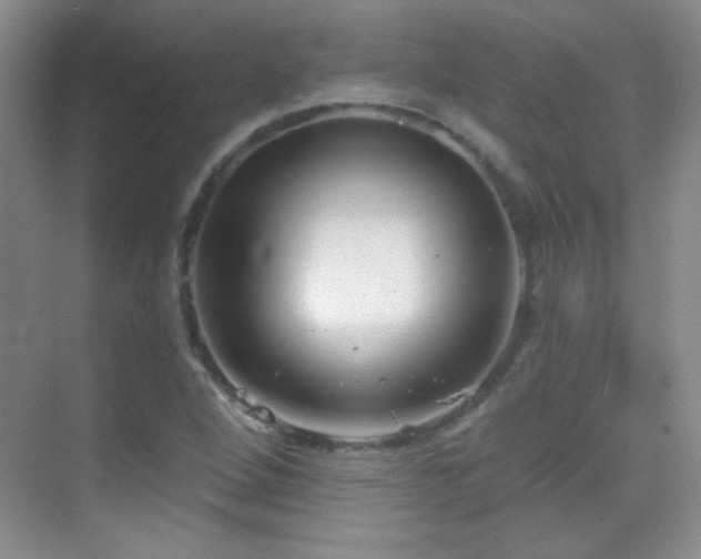 X0000069831264200605191130