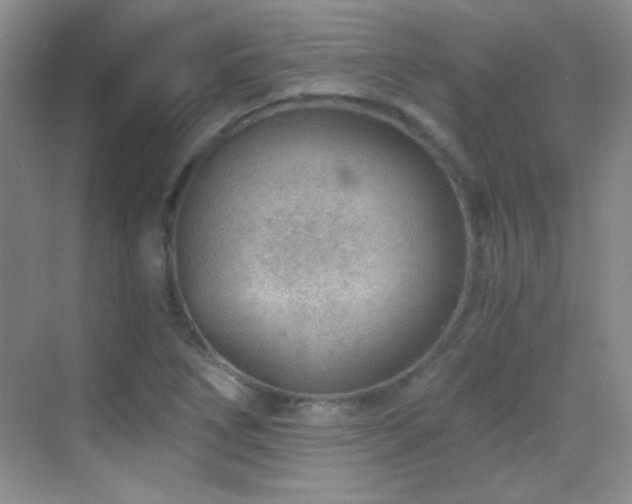 X0000069831266200605191130