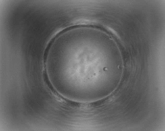 X0000069831267200605191130