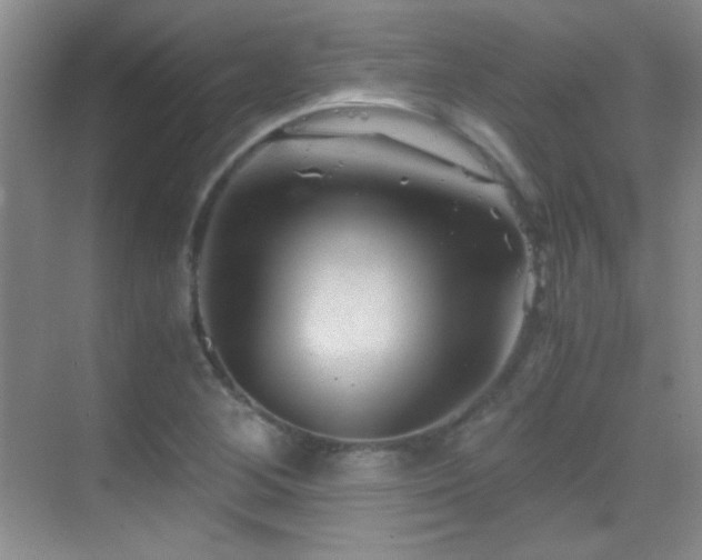 X0000069831268200605191130