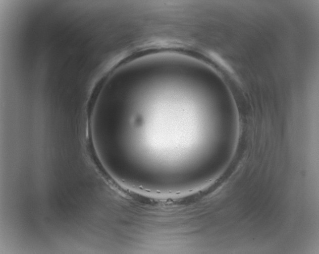 X0000069831269200605191130