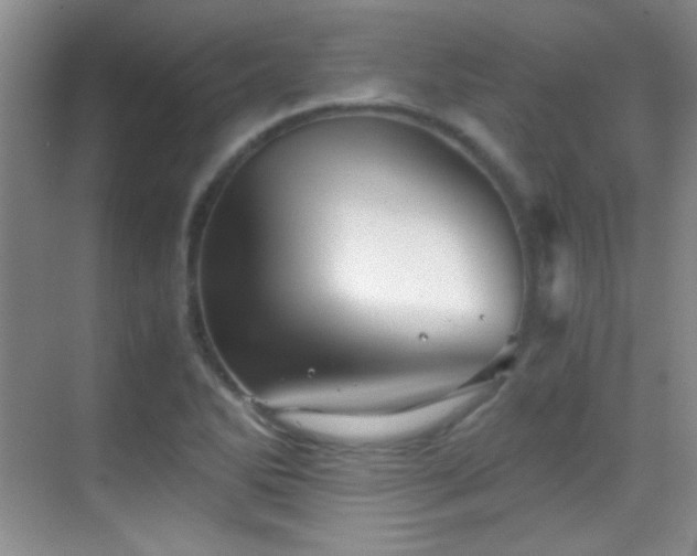 X0000069831270200605191130