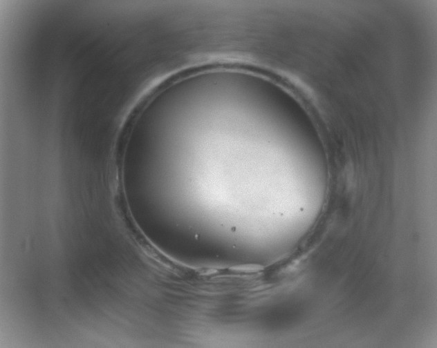 X0000069831271200605191130