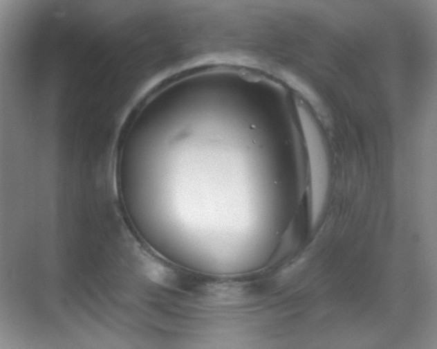 X0000069831272200605191130