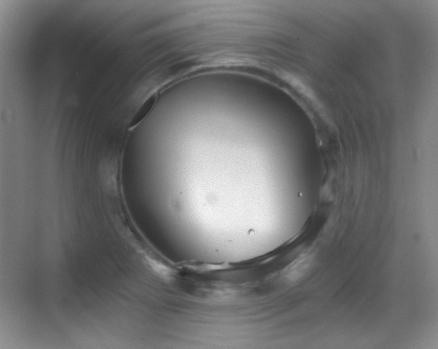 X0000069831273200605191130