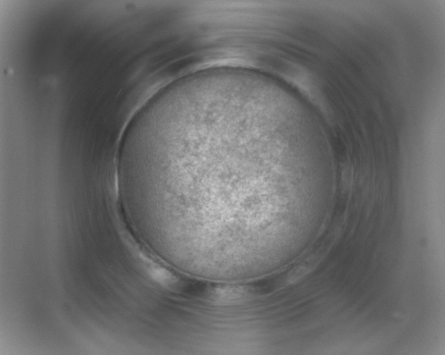 X0000069831274200605191130