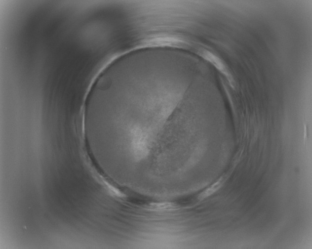 X0000069831275200605191130