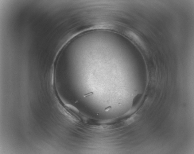 X0000069831276200605191130