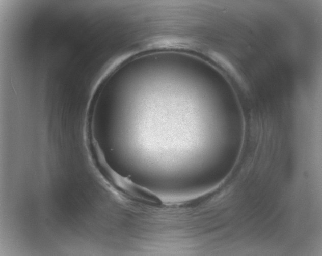 X0000069831277200605191130