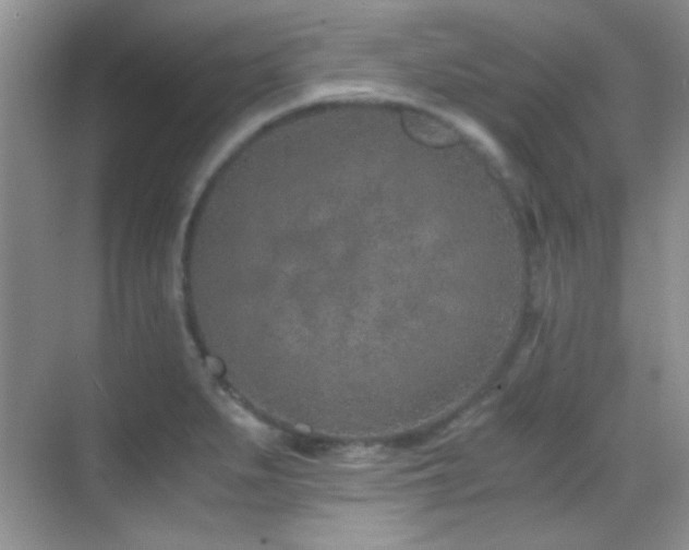 X0000069831279200605191130