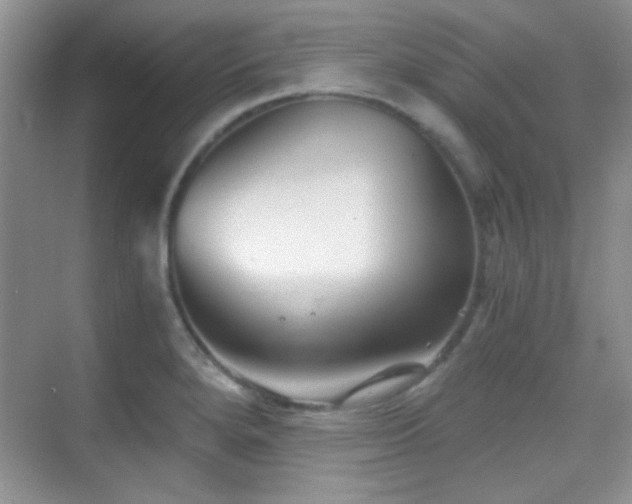 X0000069831280200605191130