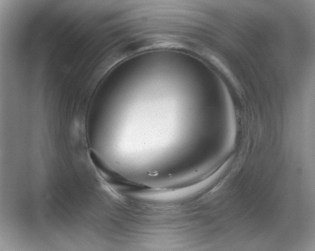 X0000069831281200605191130