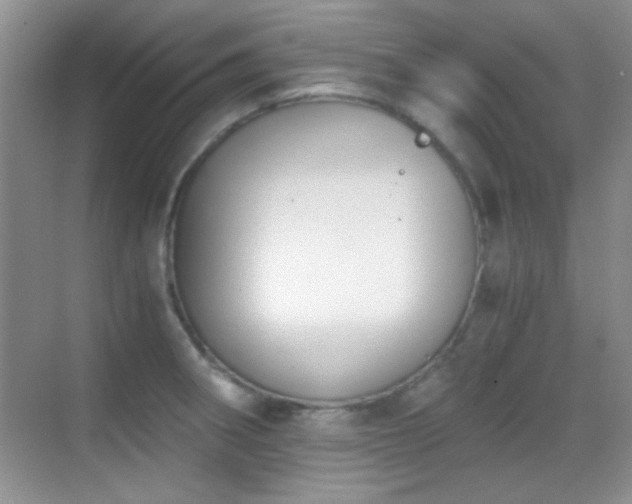 X0000069831282200605191130