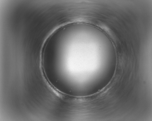 X0000069831286200605191130