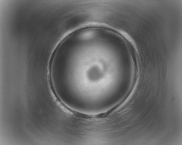 X0000069831287200605191130