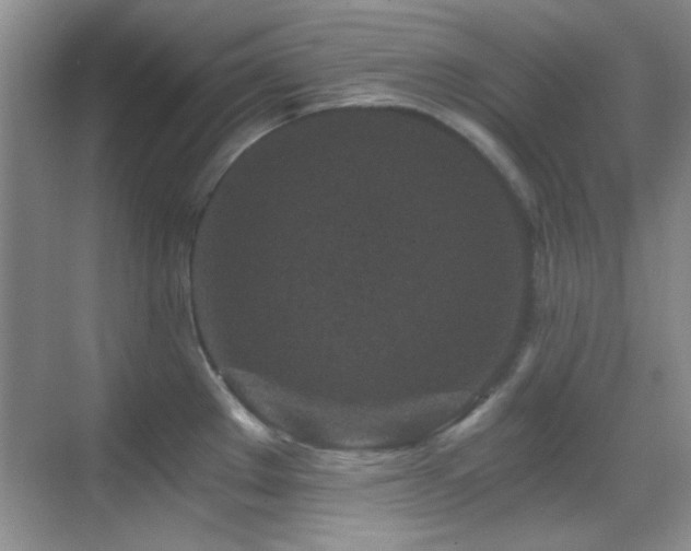 X0000069831289200605191130