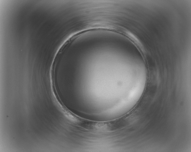 X0000069831291200605191130