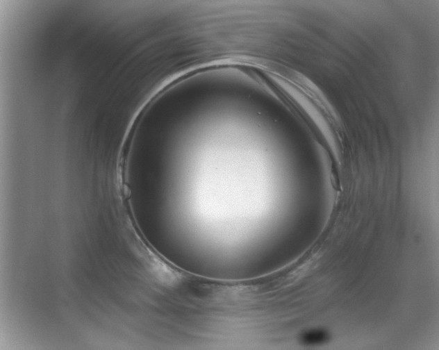 X0000069831292200605191130