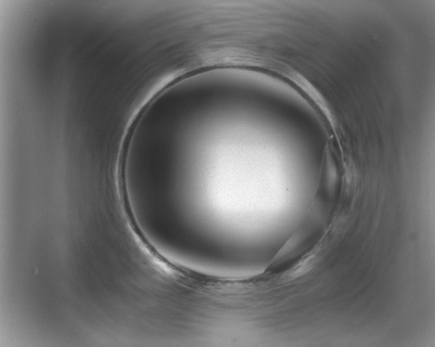 X0000069831293200605191130